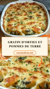 Gratin d’orties et pommes de terre