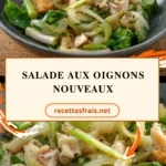 Salade aux oignons nouveaux