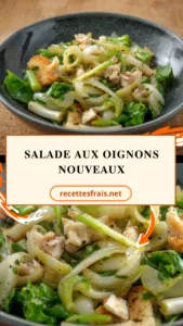 Salade aux oignons nouveaux