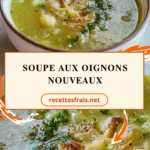 Soupe aux oignons nouveaux