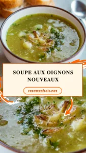 Soupe aux oignons nouveaux