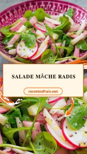 Salade mâche radis