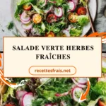 Salade verte herbes fraîches