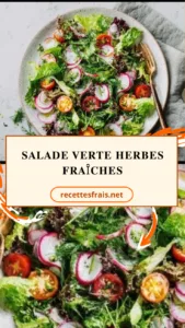 Salade verte herbes fraîches